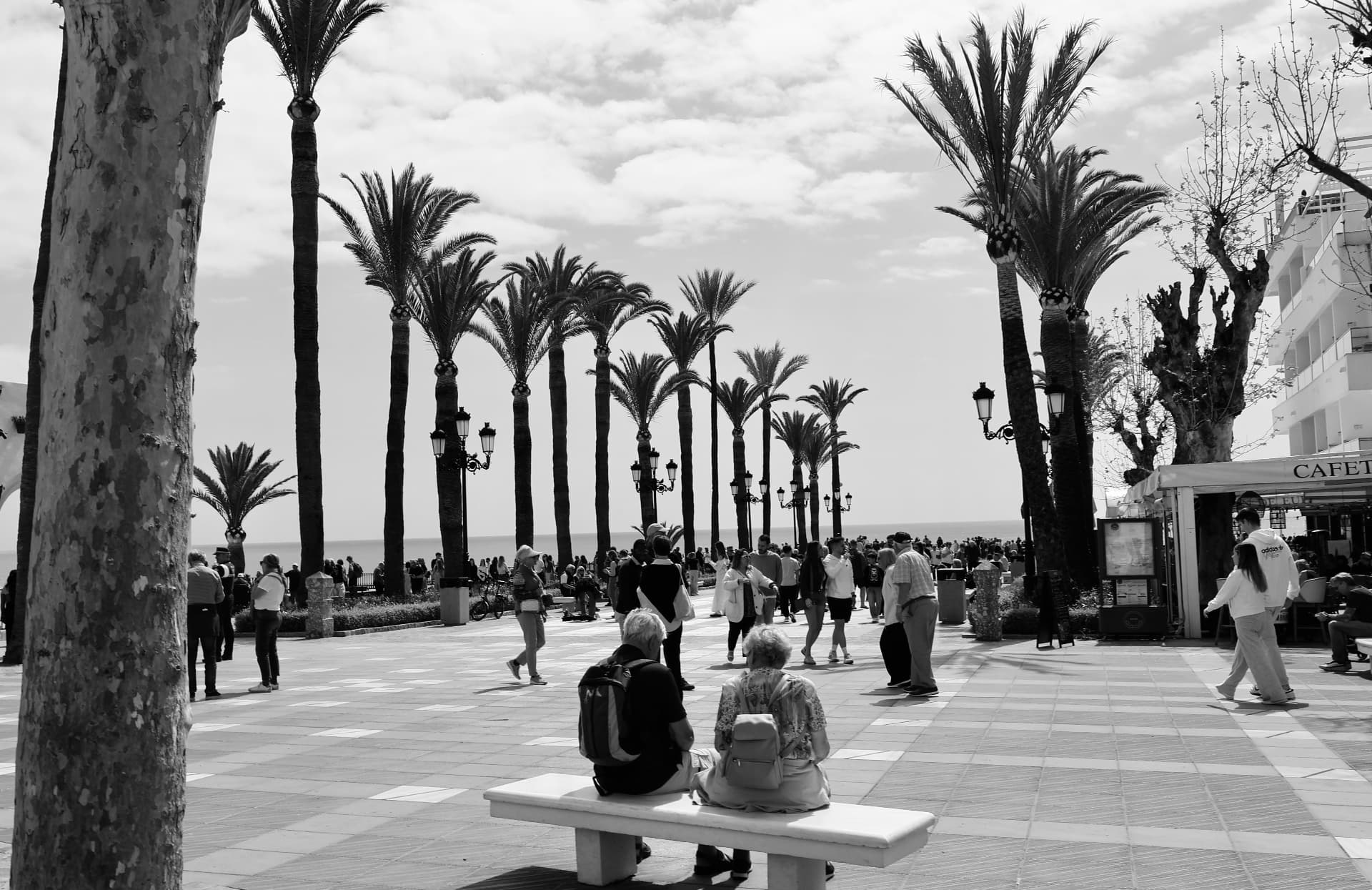 El paseo de las palmeras — fotografía en edición limitada